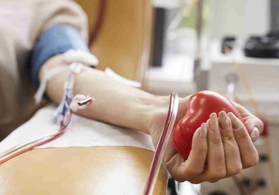 Hemoce registra recorde histórico de doações de sangue no Ceará em 2025